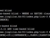 KingCMS 1.0 SQL Injection漏洞
