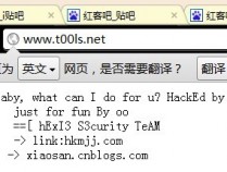 国内技术论坛T00LS2011-10-17被黑