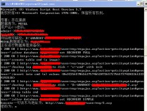 科讯kesion 6.x – 7.06 SQL 注射漏洞VBS版利用工具