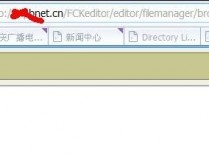 中国电信领航上传漏洞