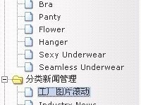 Rongsoft Oday 批量拿SHELL