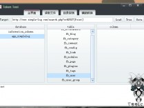 mysql 注入利用工具Token Tool