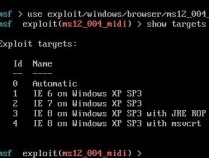 use MS12-004 hacked XP