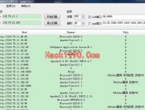 IISPutScanner增强版