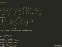 一个扫目录扫后台的工具【Sensitive Buster v 1.0】