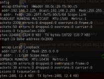Linux追击在线攻击ip