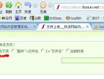 风讯dotNETCMS 0day