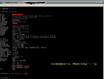 提权前的systeminfo命令