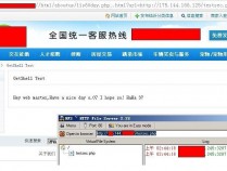 蚂蚁分类信息系0day