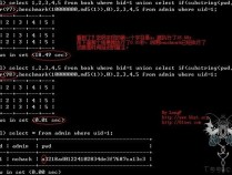 Blind SQL Injection （SQL盲注）的利用方法总结
