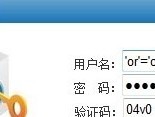 99e网络网站程序漏洞利用