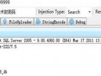 盛大网络某分站搜索型SQL注入漏洞