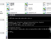PageAdmin cms getshell 0day